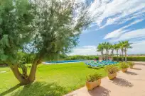 Alquiler vacacional en Torre marina (alga marina)