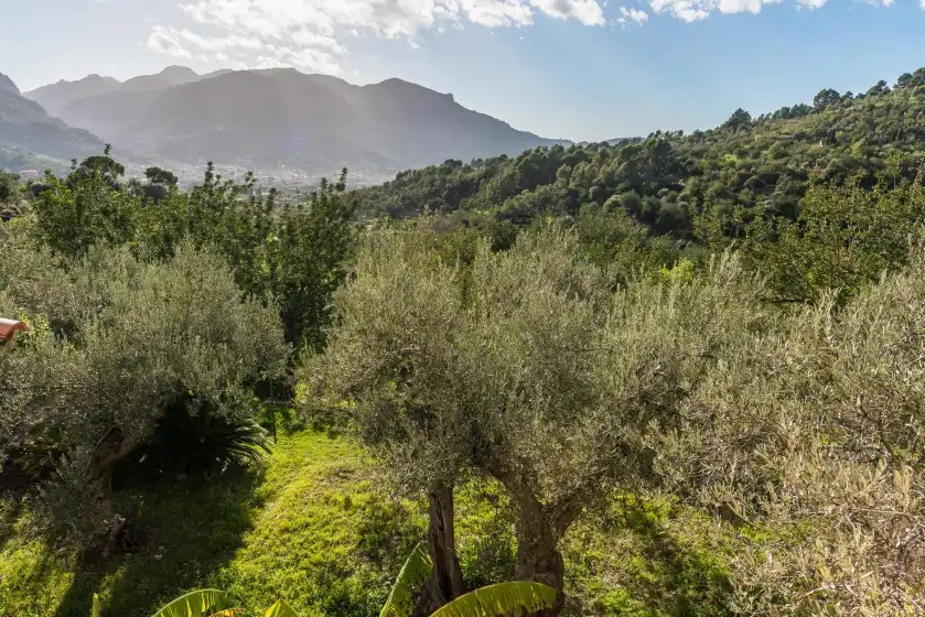 Ferienhaus auf S'olivaret, Fornalutx