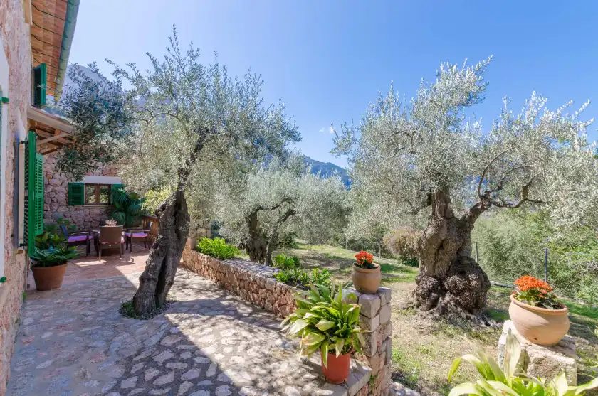 Ferienhaus auf S'olivaret, Fornalutx
