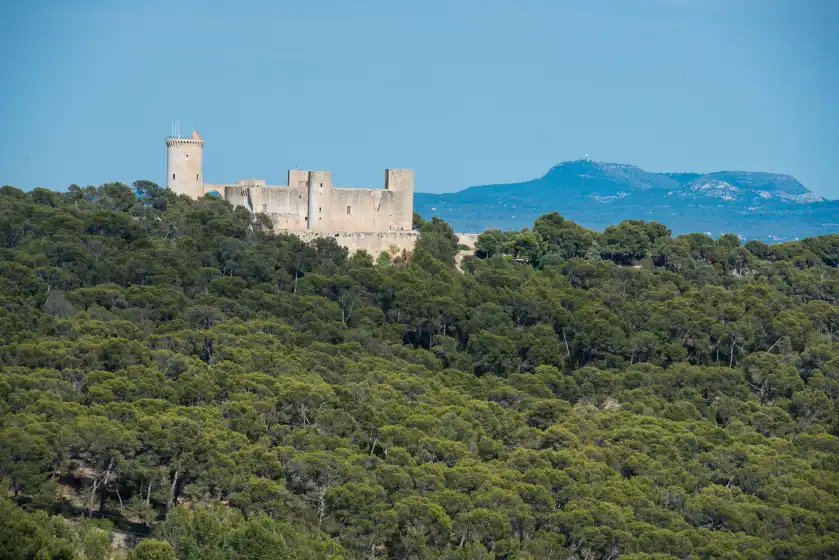 Ferienhaus auf Can rei des pla, Gènova