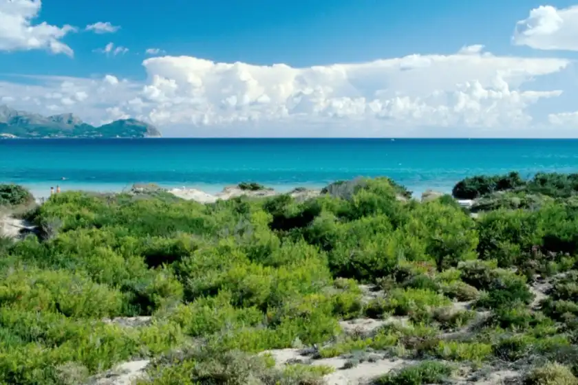 Alquiler vacacional en Curling, Port d'Alcúdia