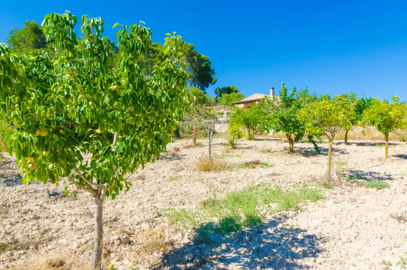 Ferienhaus auf S'aresta den rumbet, Llucmajor