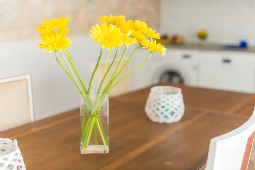 Holiday rentals in Can diana, Campanet