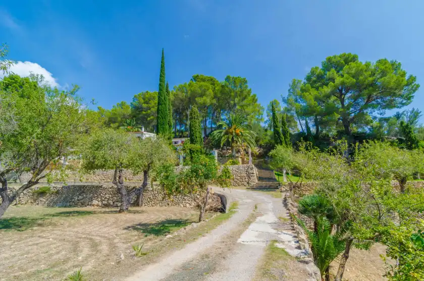 Ferienhaus auf Can bolei, Sant Elm
