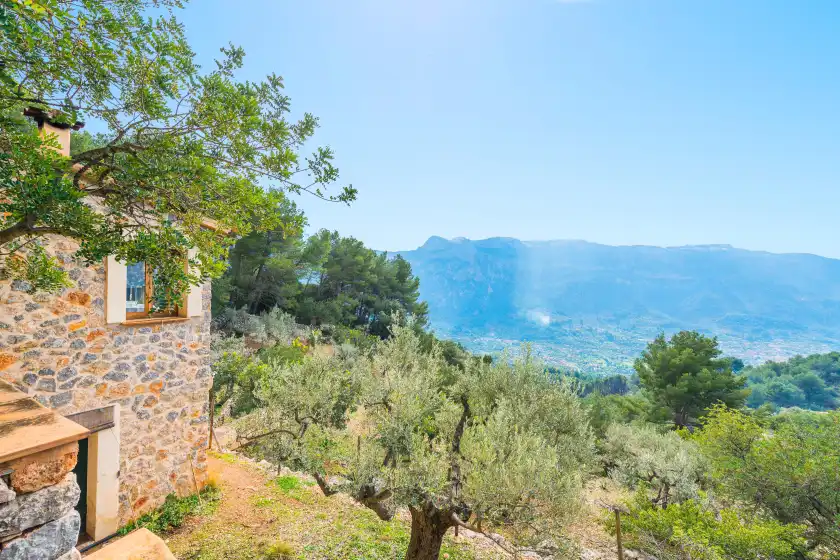 Alquiler vacacional en S'olivaret (fornalutx), Fornalutx