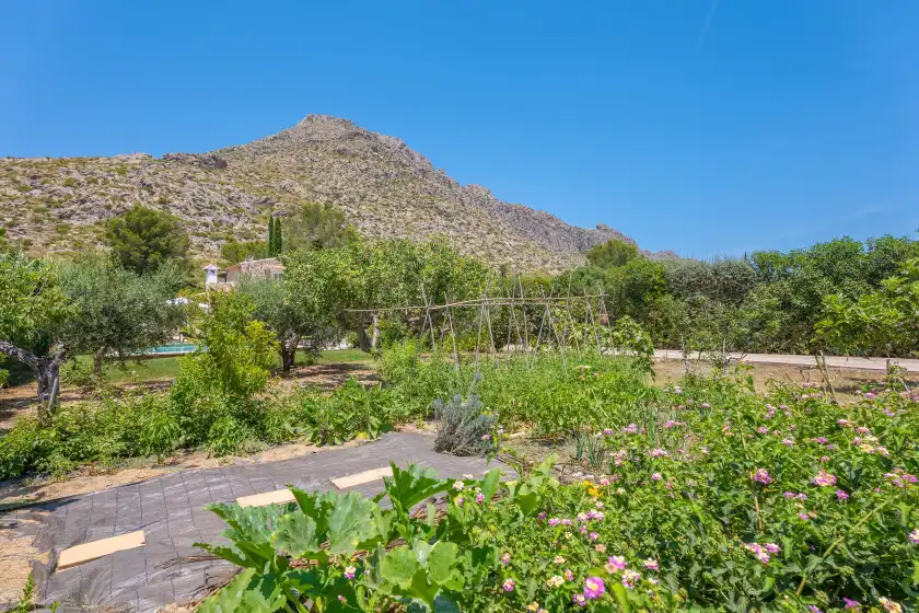 Ferienhaus auf Ca'n coll, Port de Pollença