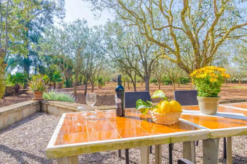 Holiday rentals in Can estelrich- sant blai, Campos