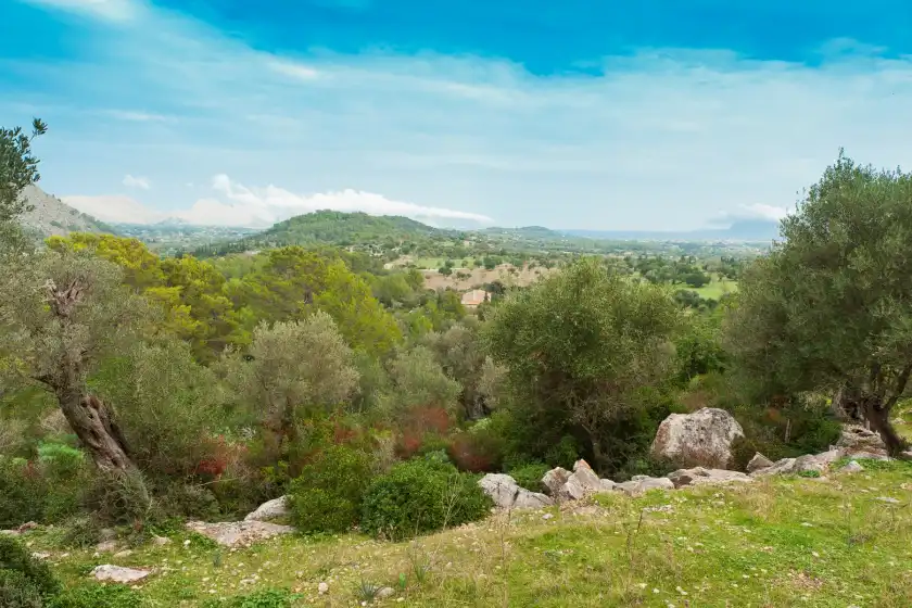 Alquiler vacacional en Can guillo, Pollença