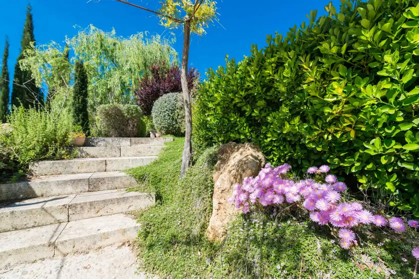 Holiday rentals in Son ferragut, Sa Pobla