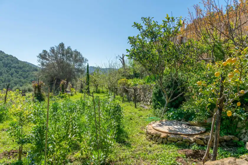 Holiday rentals in Can peñes, Andratx