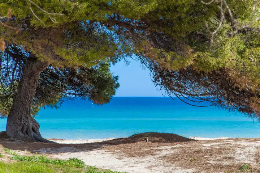 Alquiler vacacional en Sol, Platja d'Alcúdia