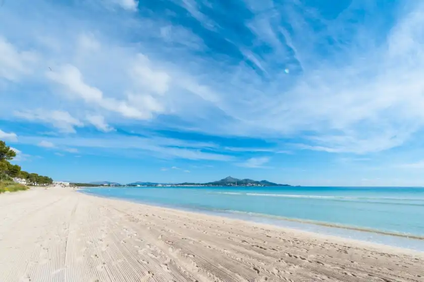 Alquiler vacacional en Sol, Platja d'Alcúdia