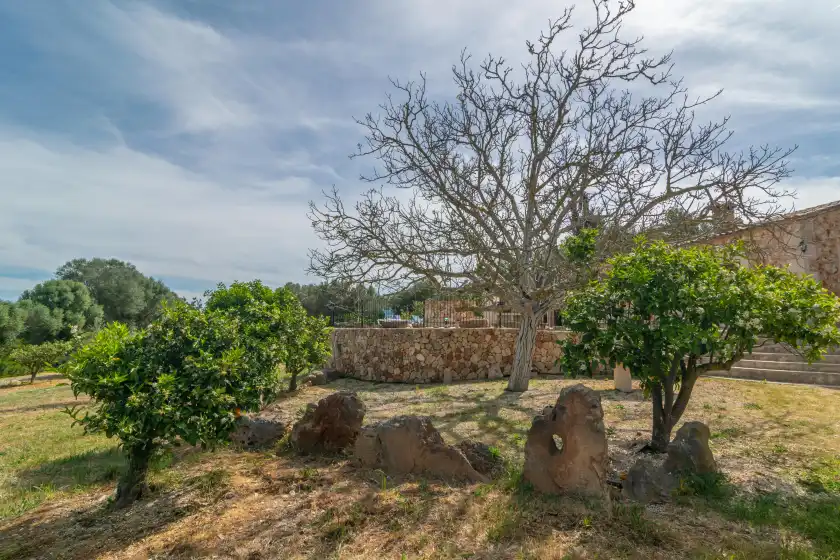 Alquiler vacacional en Son barrigo, Porreres