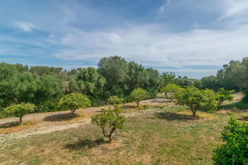Alquiler vacacional en Son barrigo, Porreres