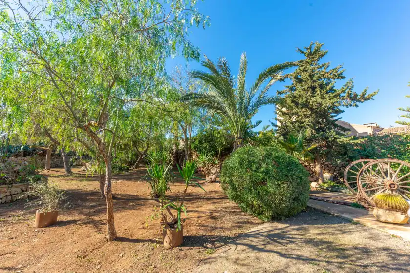 Alquiler vacacional en S'alqueria rotja, Santanyí