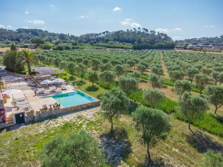 Ferienhaus auf Gossalba - estandard, Sant Joan