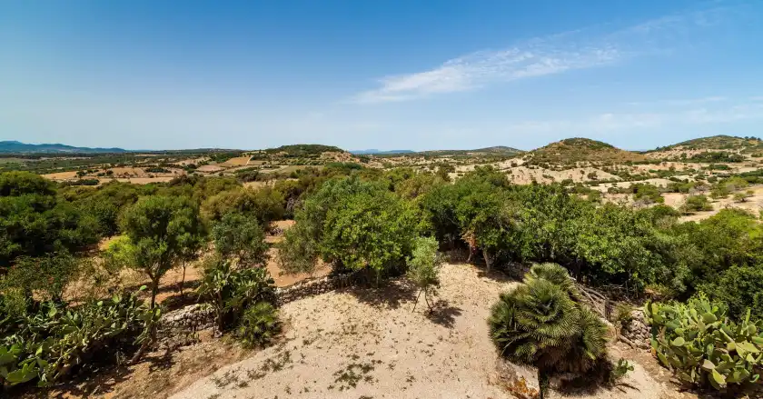 Holiday rentals in Tenja, Sant Llorenç des Cardassar