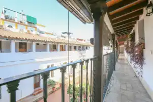 Alameda de hercules - Location de vacances à Sevilla