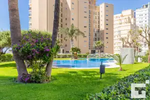 Apolo xiv 104 - grupo turis - Location de vacances à Calp
