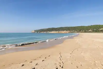 Playa de la Hierbabuena, Cádiz, Vacalia.com