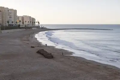 Playa Santa María del Mar, Cádiz, Vacalia.com