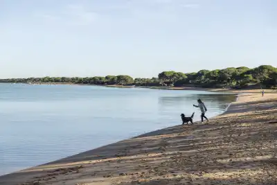 Playa de La Ministra, Cádiz, Vacalia.com