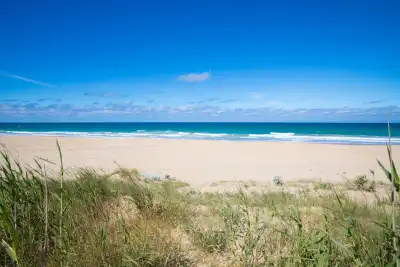 Playa Mangueta, Cádiz, Vacalia.com