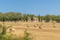 Ferienhaus auf Ses cases velles de son baró