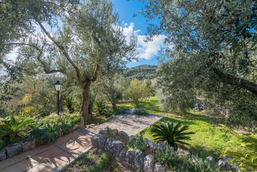 Ferienhaus auf S'olivaret, Fornalutx