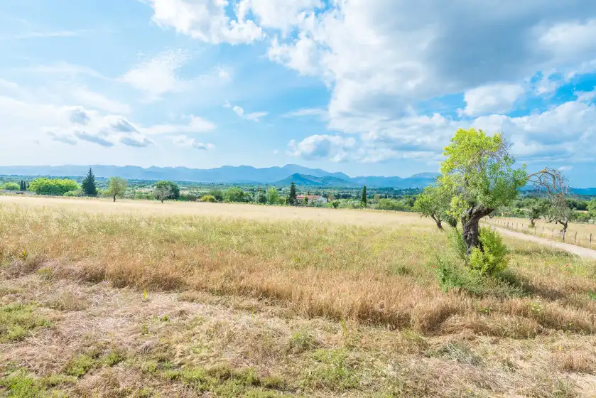 Alquiler vacacional en Sa vinyota, Llubí