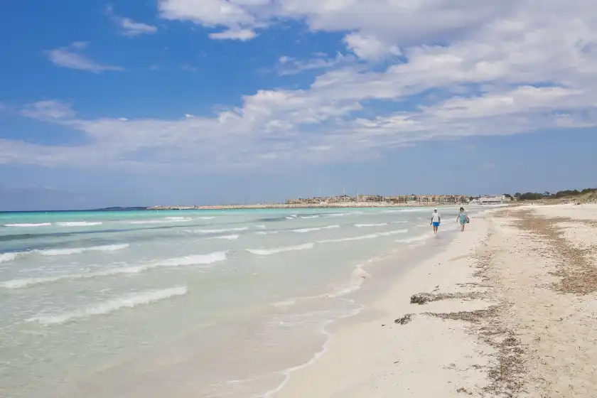 Alquiler vacacional en Torre marina (alga marina), ses Covetes