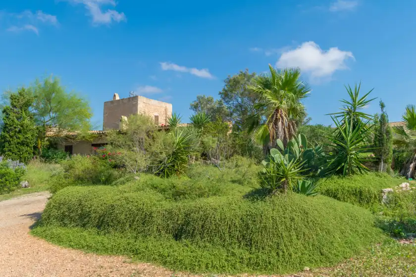 Ferienhaus auf Villa es molí des trenc, Campos