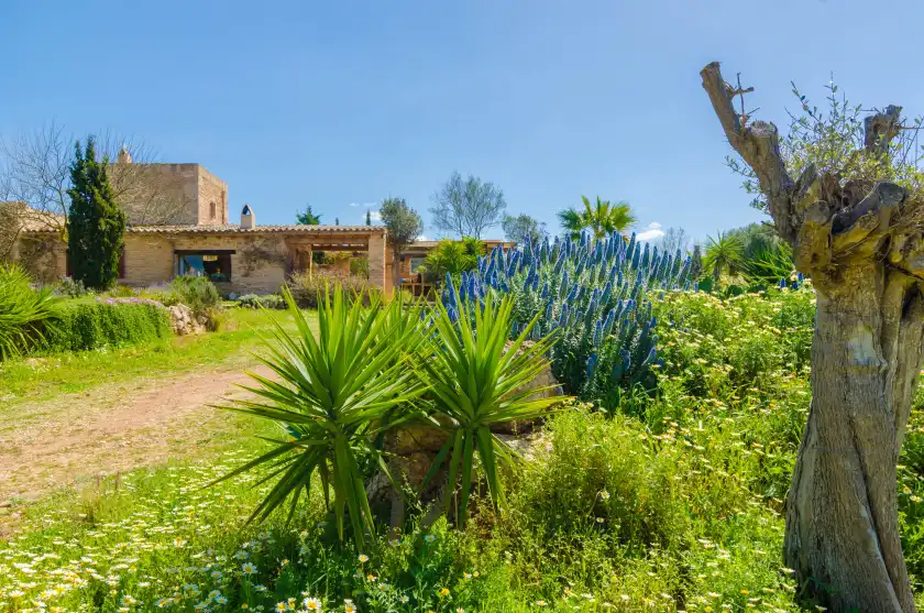 Ferienhaus auf Villa es molí des trenc, Campos