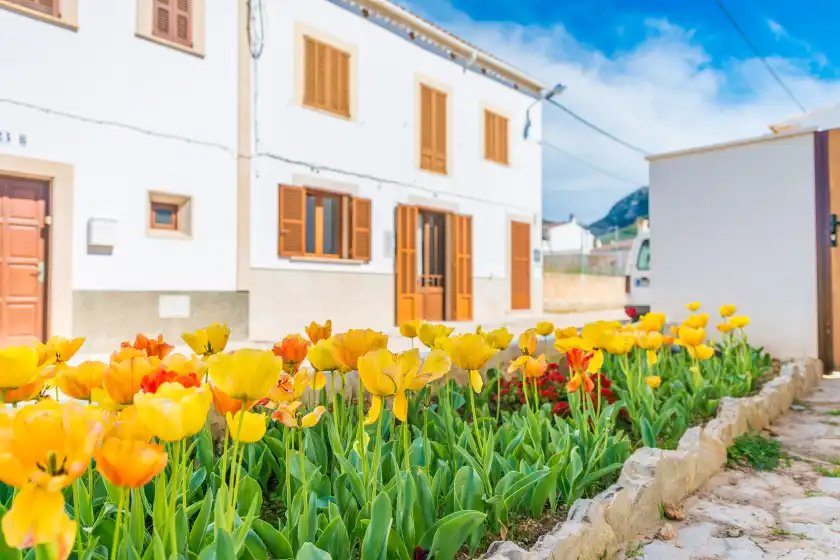 Ferienhaus auf Vila ca shermano, Colònia de Sant Pere