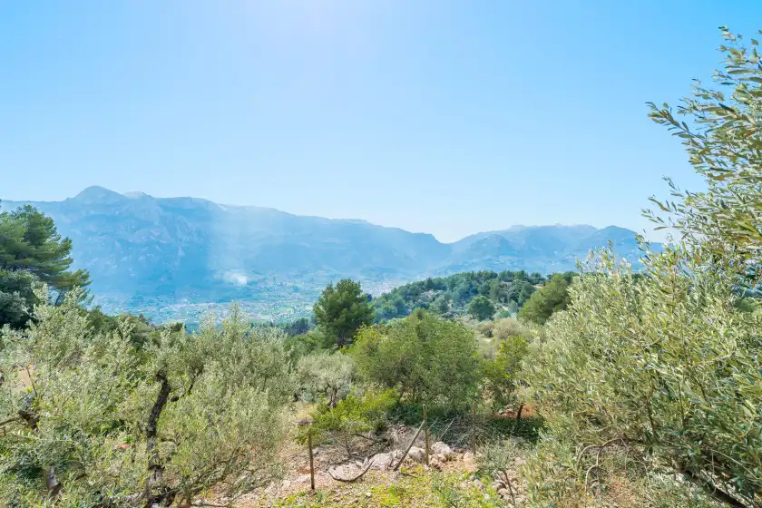 Alquiler vacacional en S'olivaret (fornalutx), Fornalutx