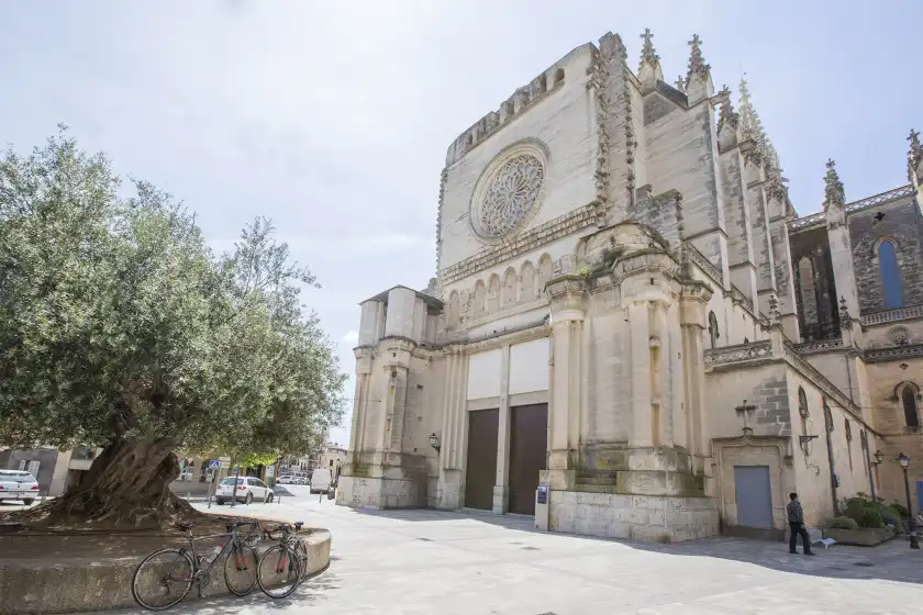 Alquiler vacacional en Casa alba, Manacor