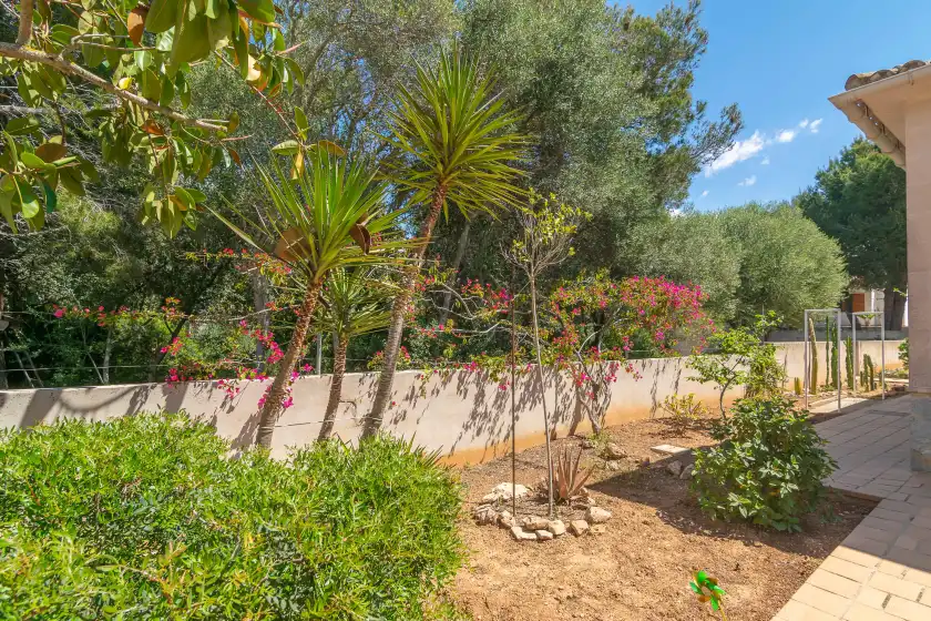 Ferienhaus auf Casa aina, sa Ràpita