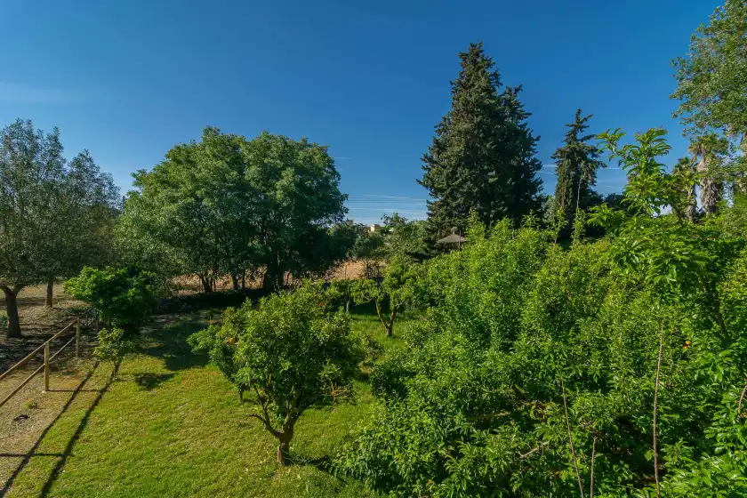 Alquiler vacacional en Sa teulera, Sencelles