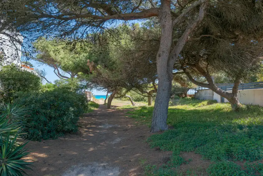 Ferienhaus auf Villa canta, Platja de Muro