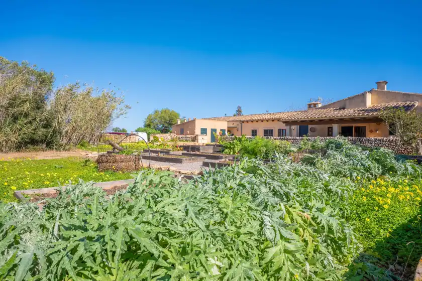 Alquiler vacacional en Agroturismo mondrago (antic na martina), Portopetro