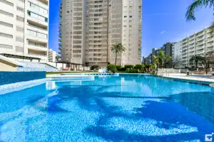Apolo xvii 31 - grupo turis - Location de vacances à Calp
