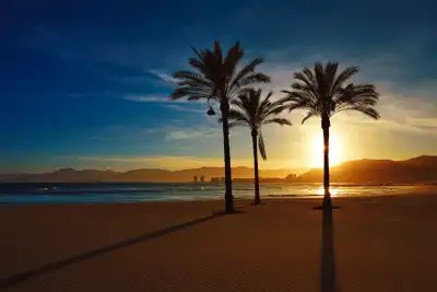 Playa Los Olivos, Valencia, Vacalia.com