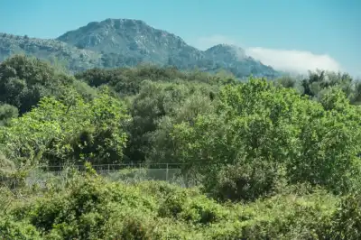Capdepera, Mallorca, Vacalia.com