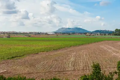 Sa Pobla, Mallorca, Vacalia.com