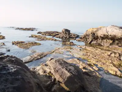 Punta Chullera, Cádiz, Vacalia.com